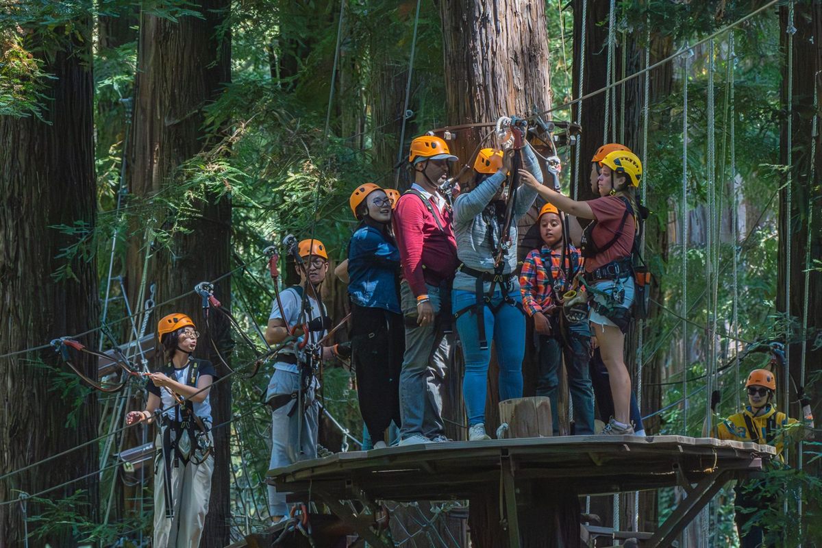 A group in helmets and harnesses on a treetop zip-line platform