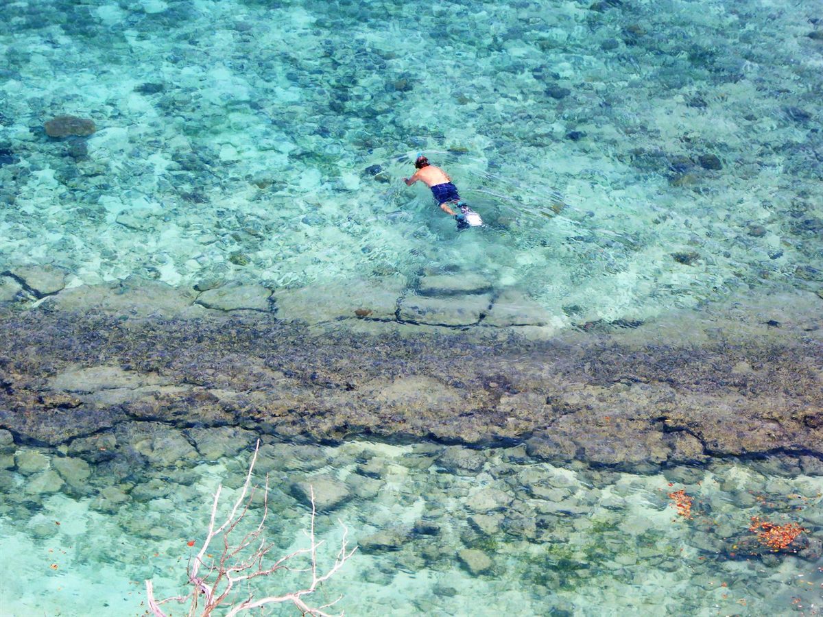 A snorkeller seen from above over clear water and a reef